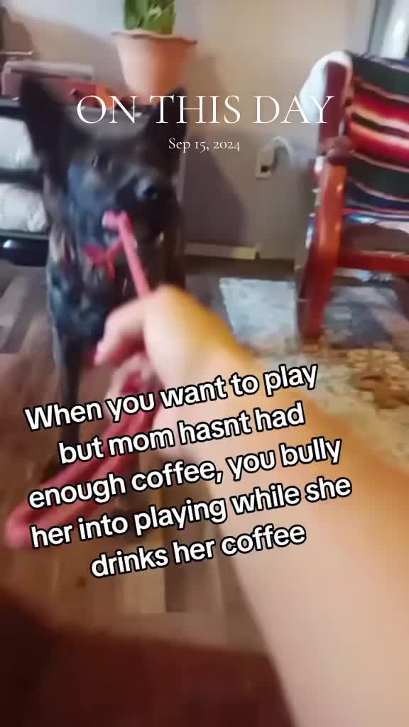 @shotgunJenny