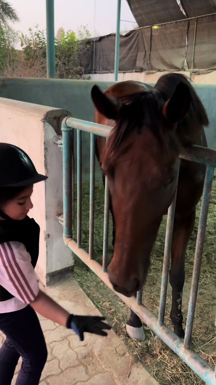 @Al Bosta Equestrian