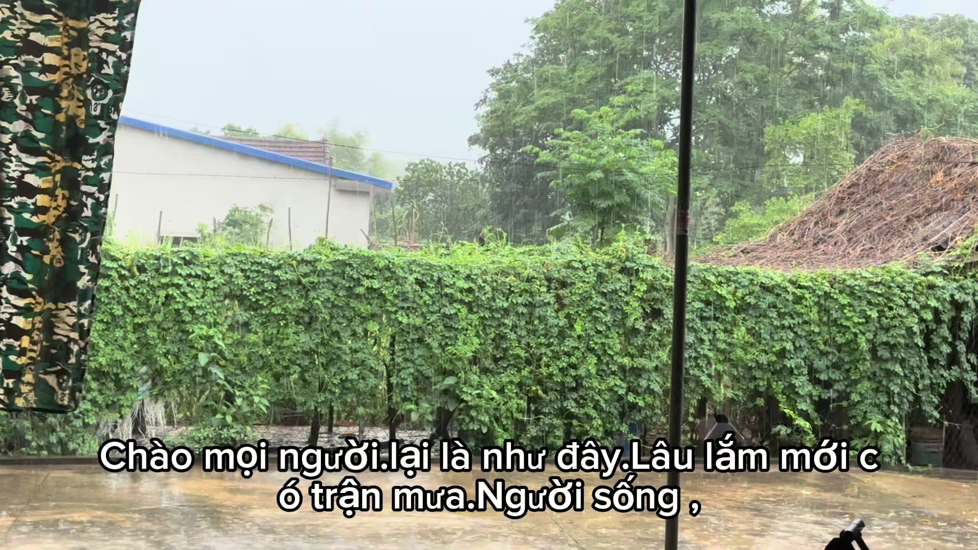 @Trương Quỳnh Như