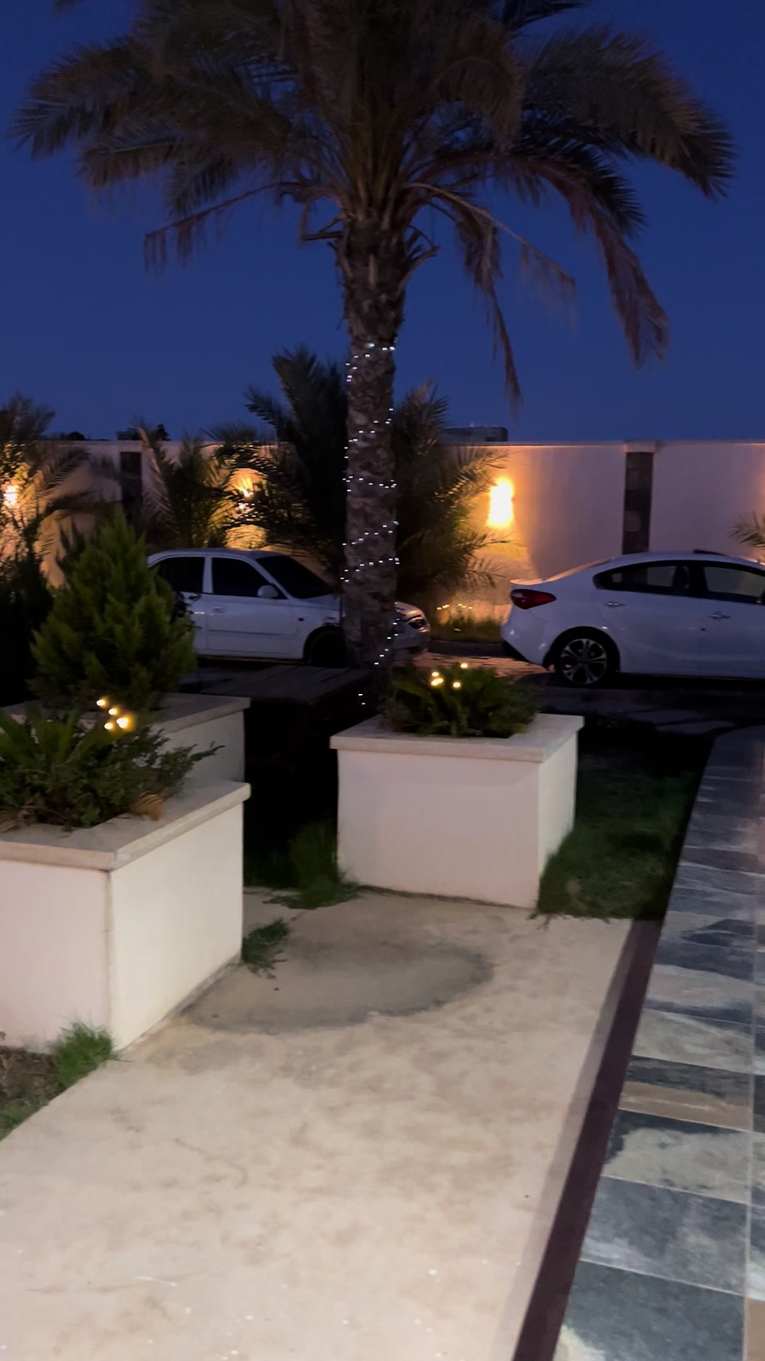 @مجحود الورفلي💚