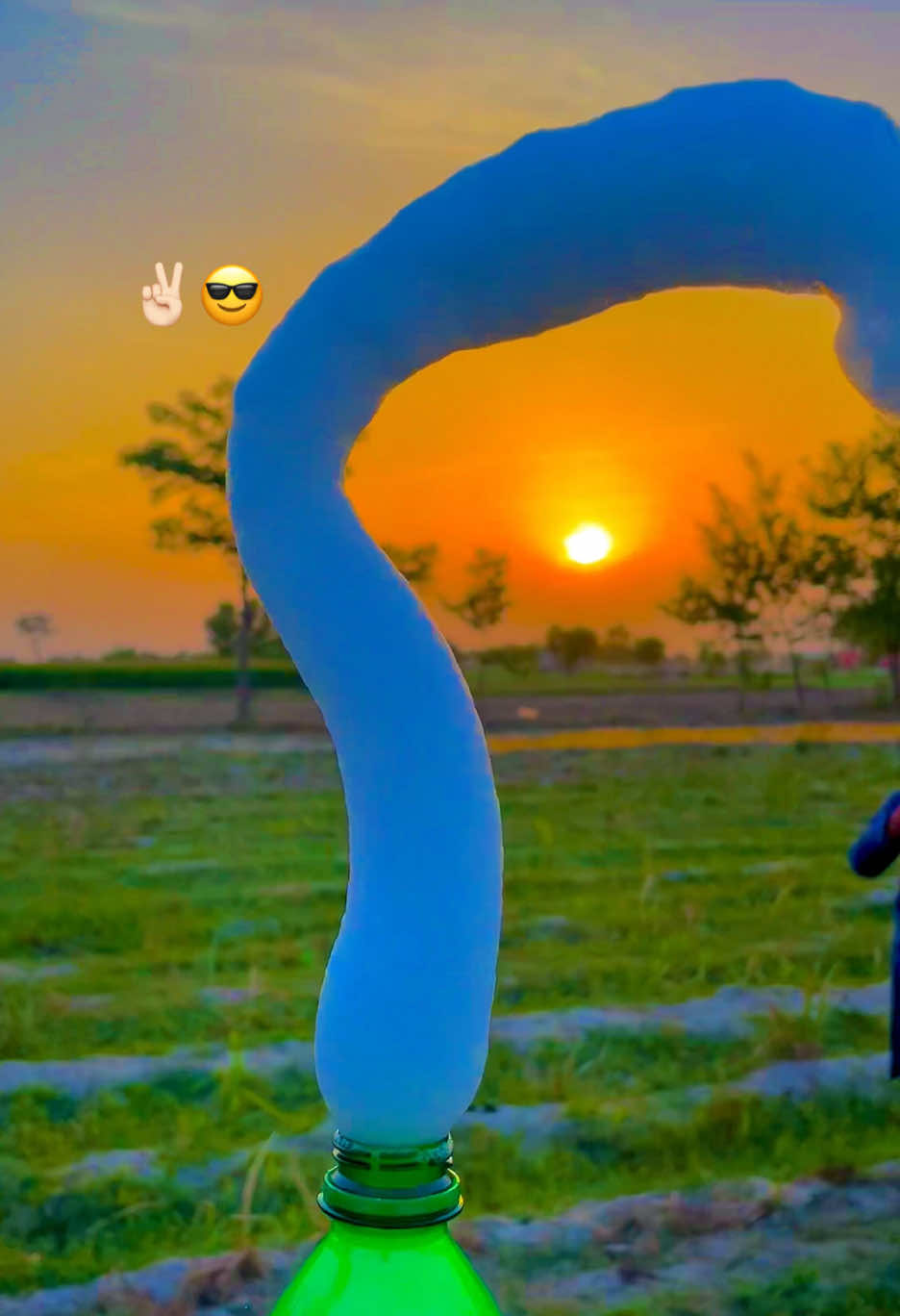 @🌱اویس میئو😎