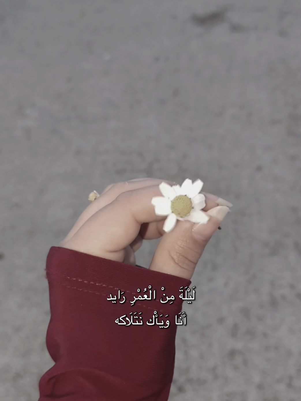 @ّ𝑳𝒐𝒍𝒊 🎀