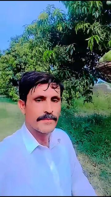 @zafar Iqbal hajana PTI 804