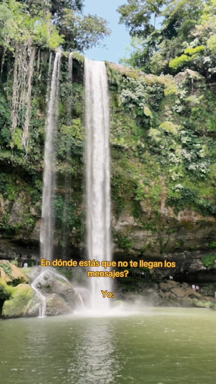 @Ana Luisa Miranda