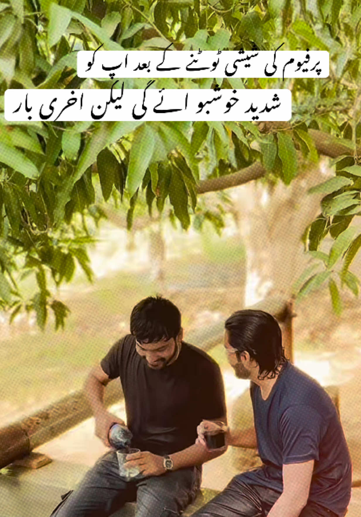 @میر فیضان بزدار
