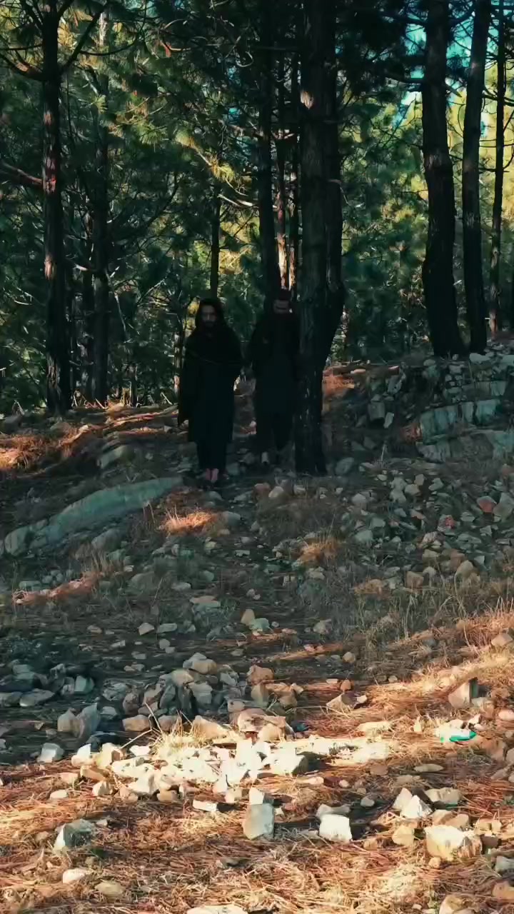 @ibrahim tanoli