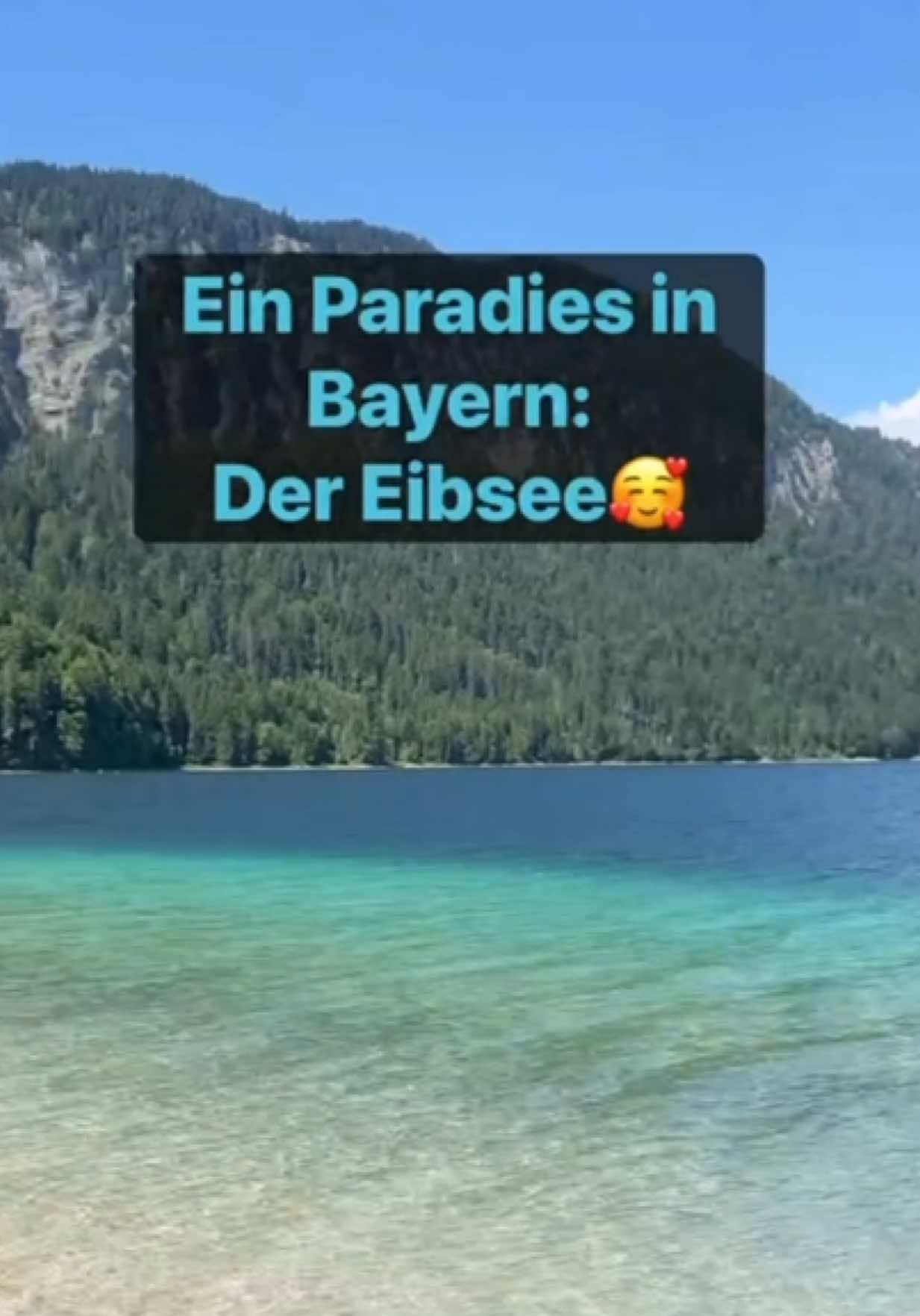@INSAbenteuerHund