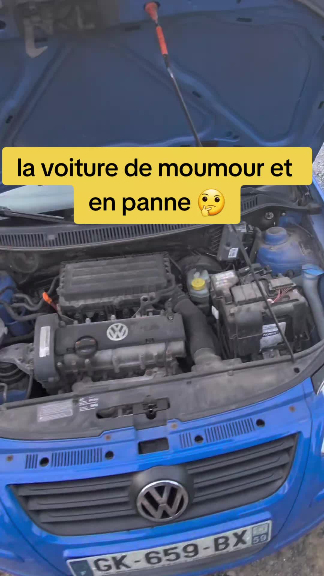 @la l&eacute;gende de tautor