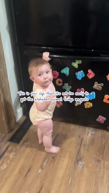 @HALEY | Mom Finds & More