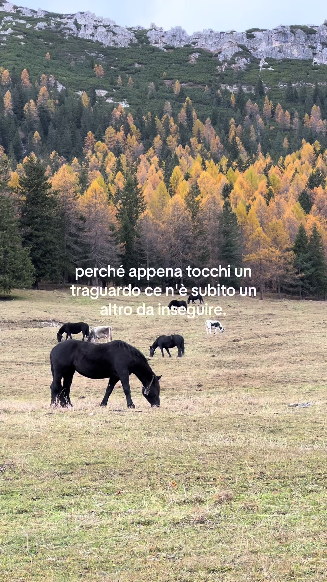 @Giovanni De Poli