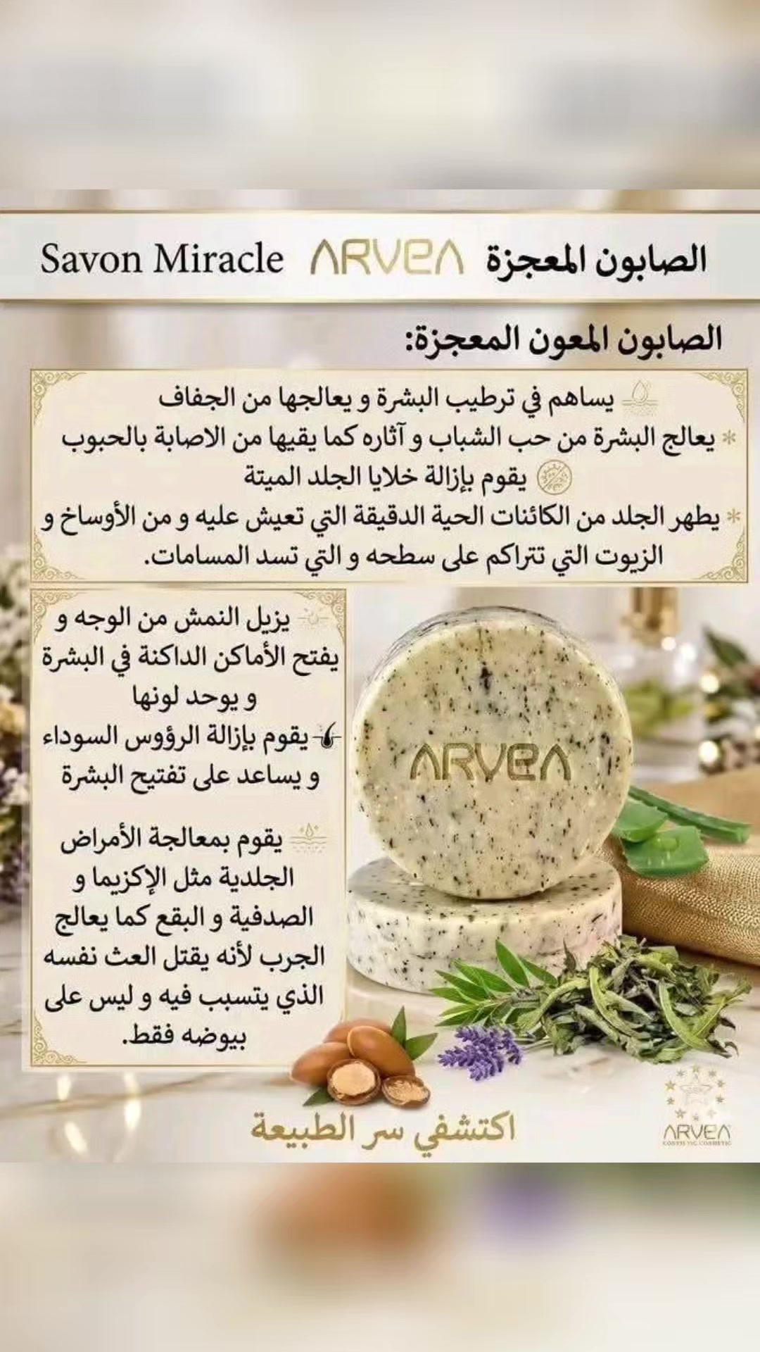 @lamia bhassine