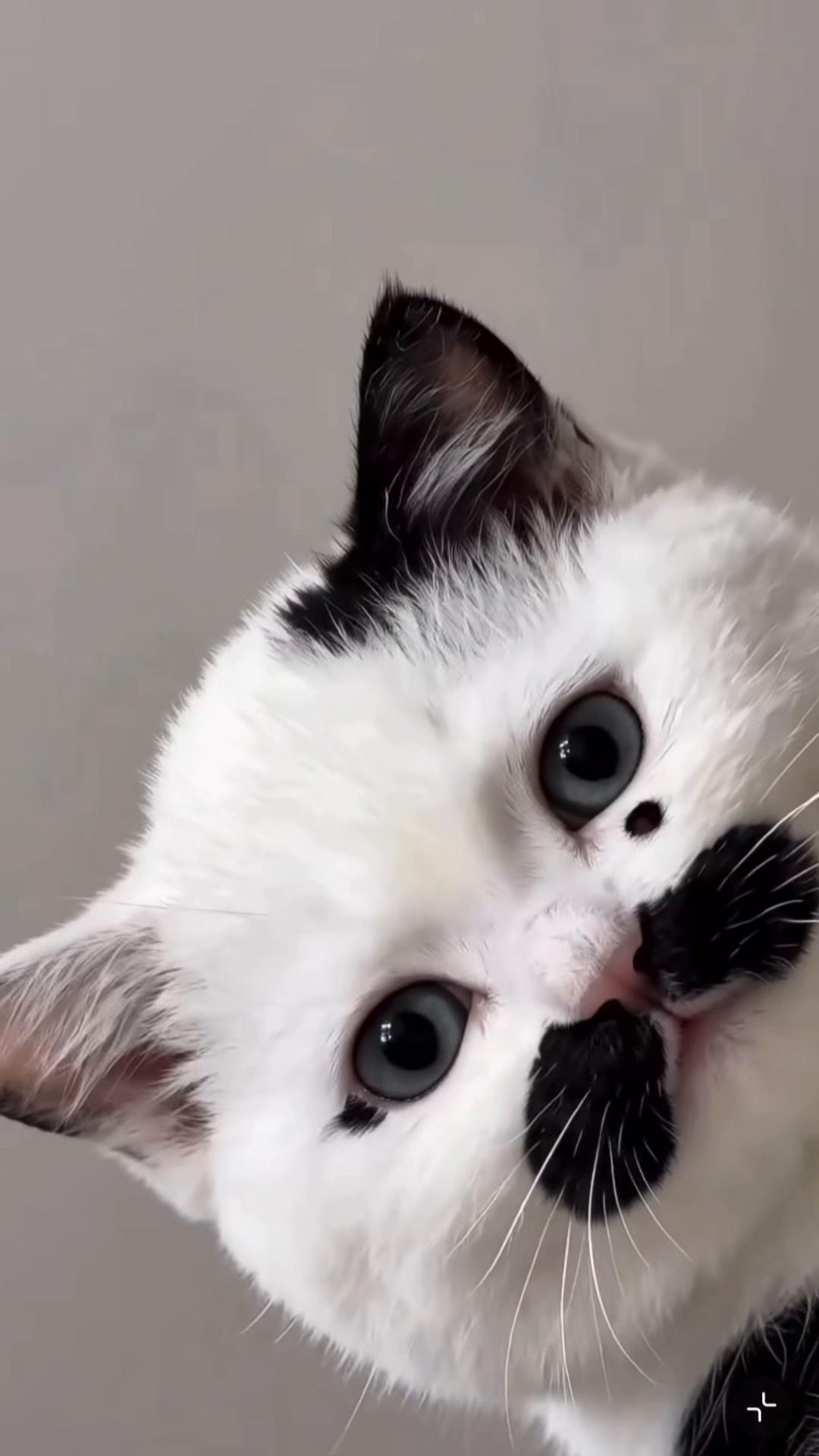 @My Daily Dose of Aww
