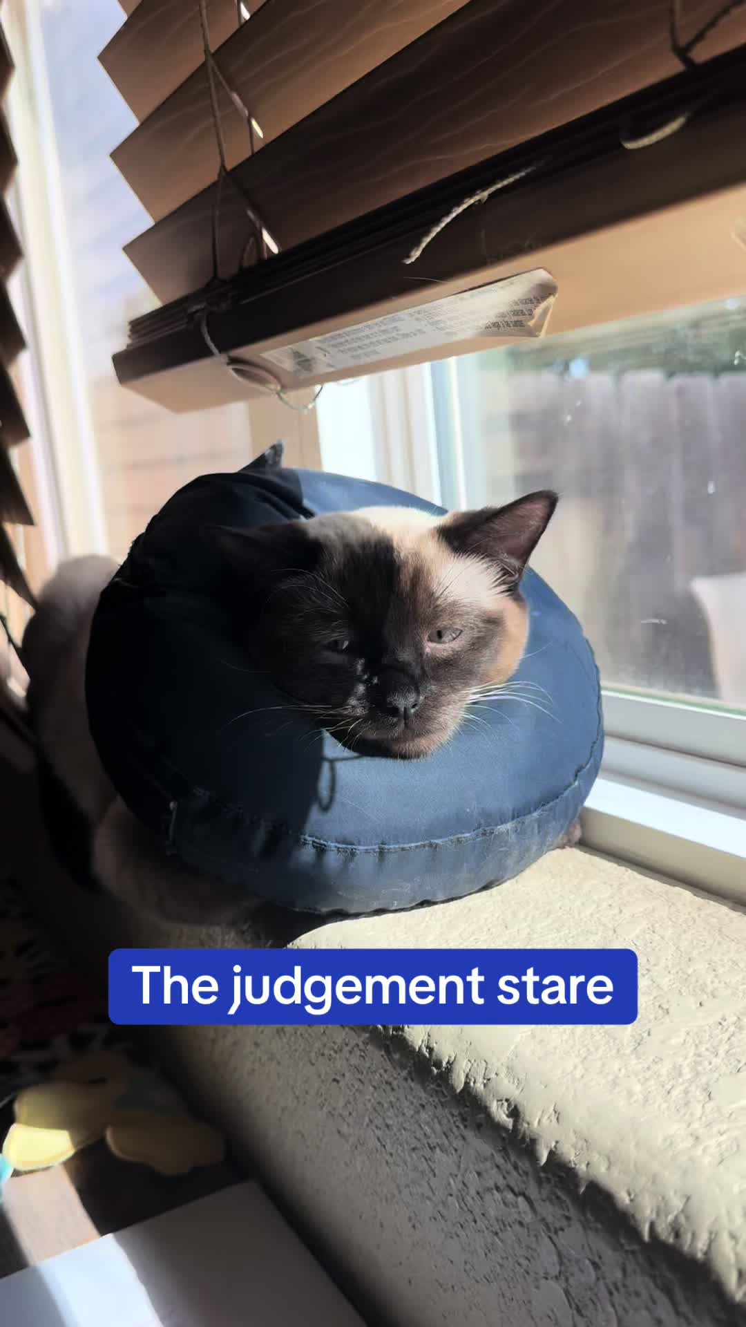 @SkippyJosAdventures