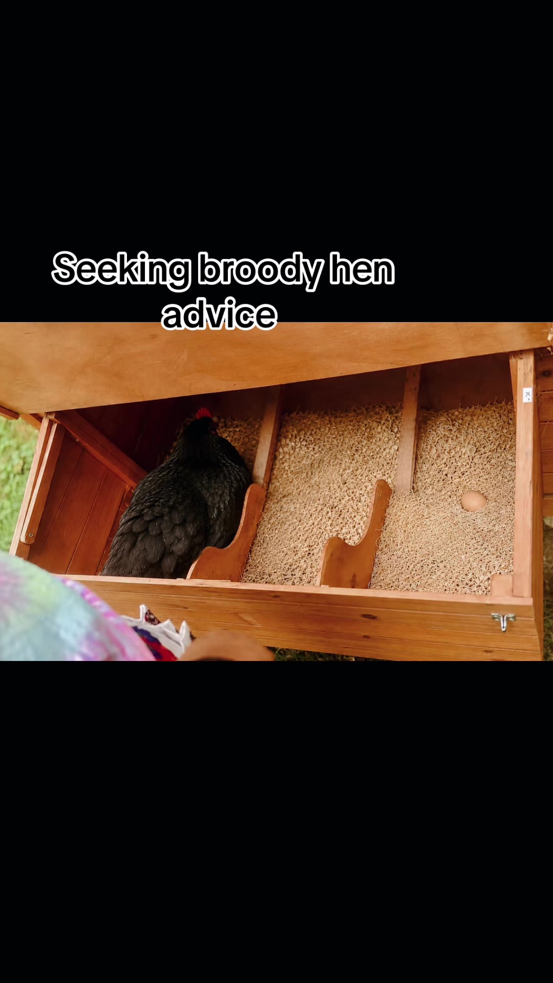 @Resistance Homesteaders