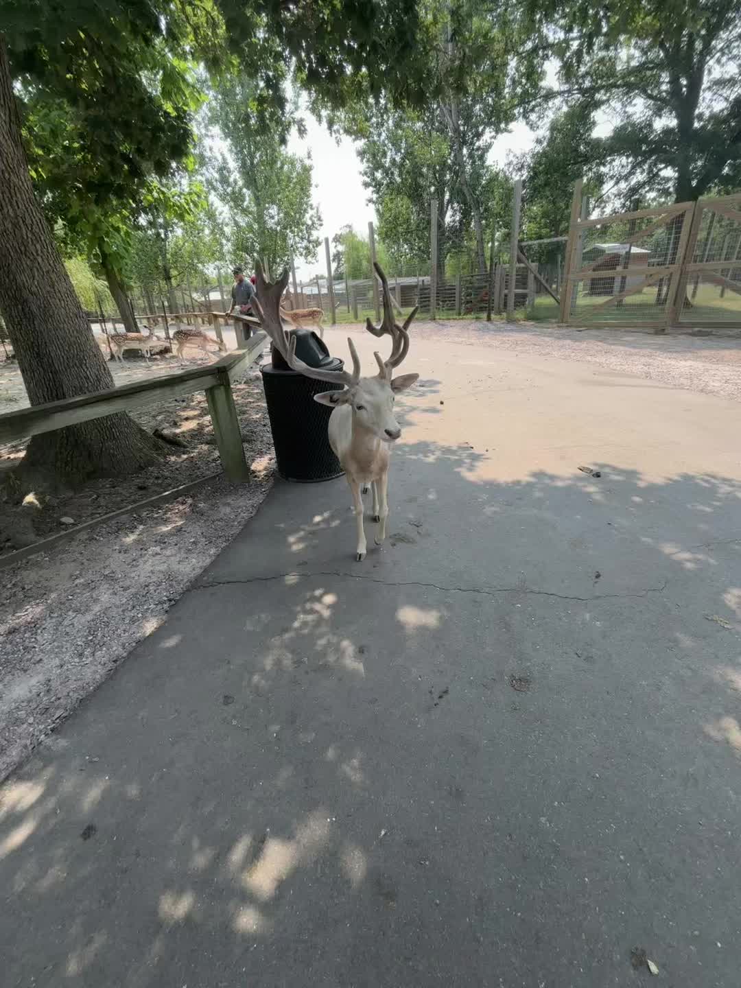 @𝙊𝙧𝙖𝙣𝙜𝙚 🍊 𝙈𝙤𝙣𝙠𝙚𝙮🐒