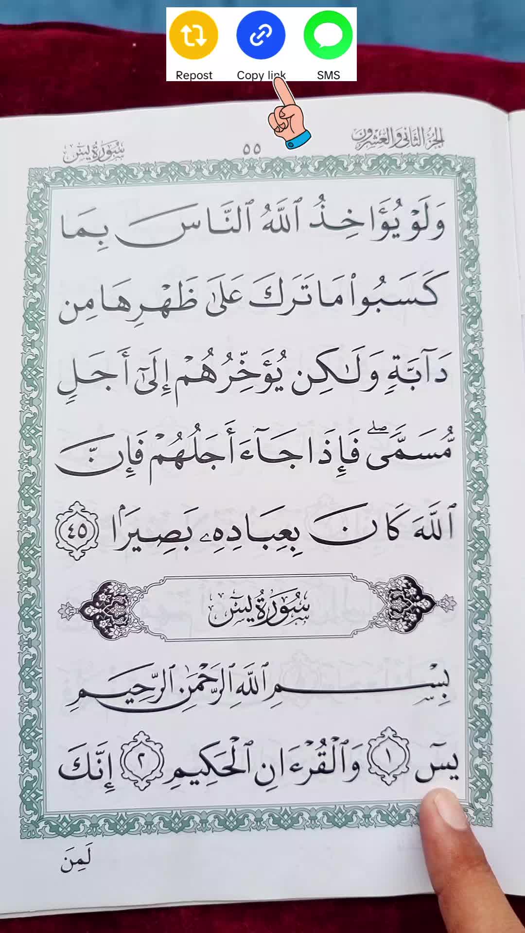 @🤍𝐐𝐮𝐫𝐚𝐧 𝐊𝐚𝐫𝐢𝐦🤍