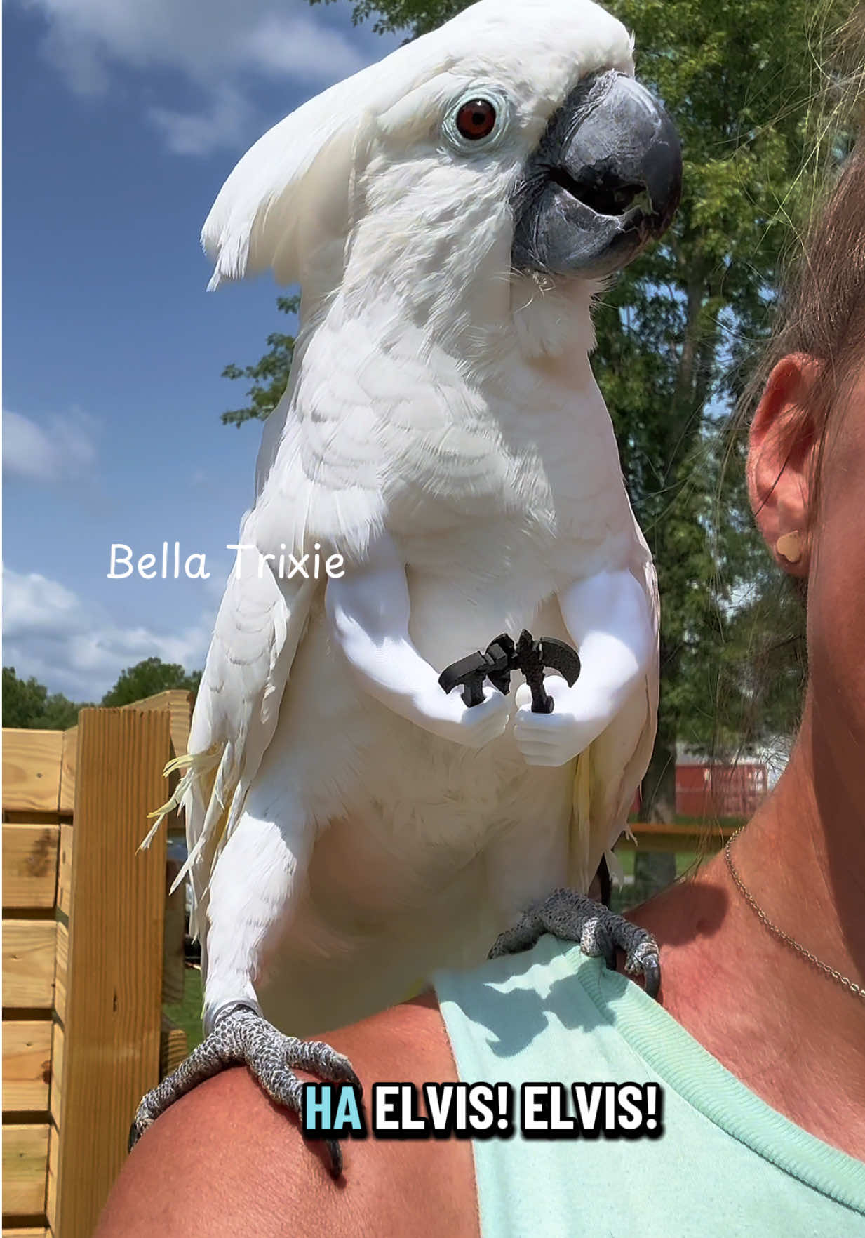 @bella_trixie_unleashed