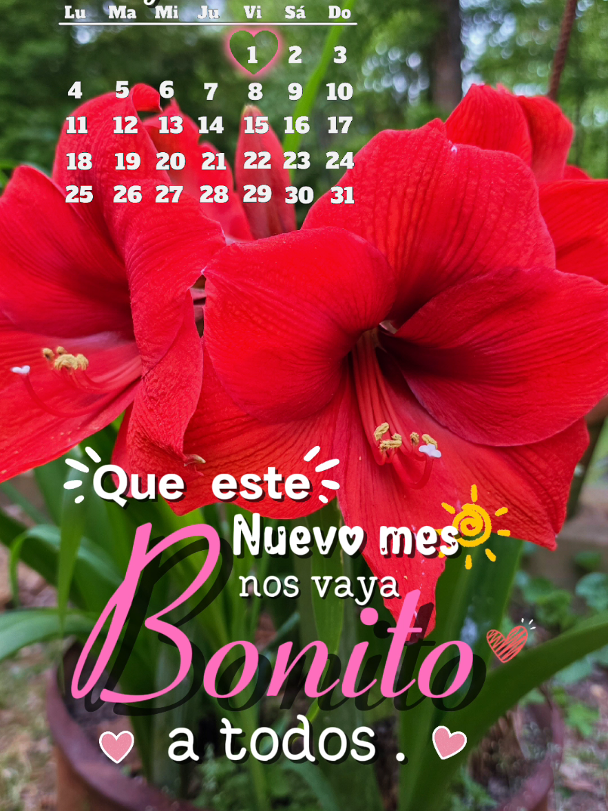 @doly.dfn