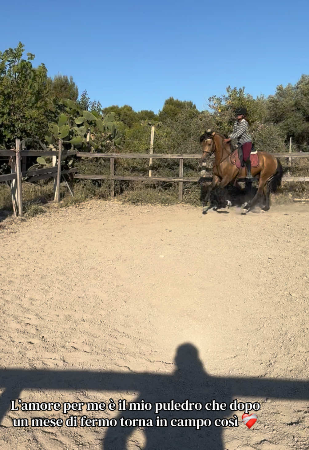 @Chiara Vitali 🐴