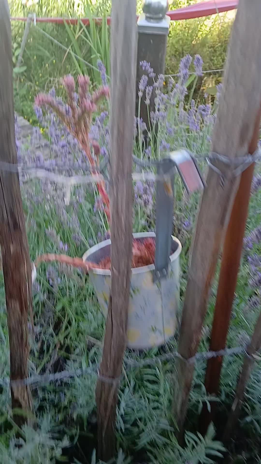 @🔨🔩🏞Fritzelfred125🤯