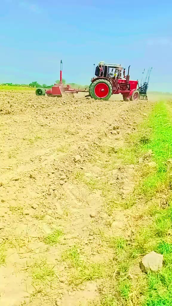@gfhjdhvb