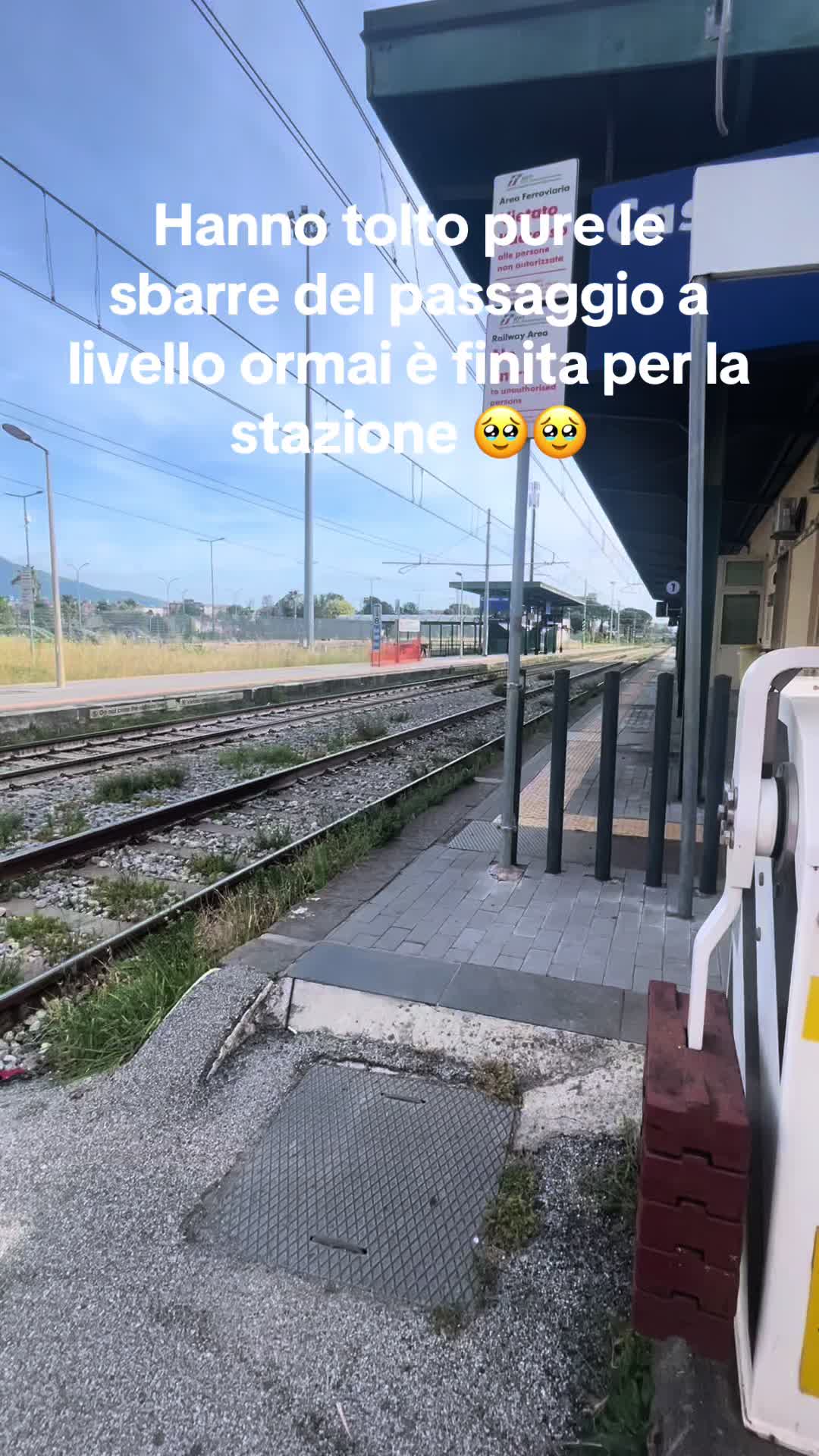 @Leo17💎🏴