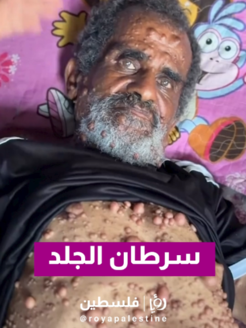 @Royapalestine رؤيا فلسطين