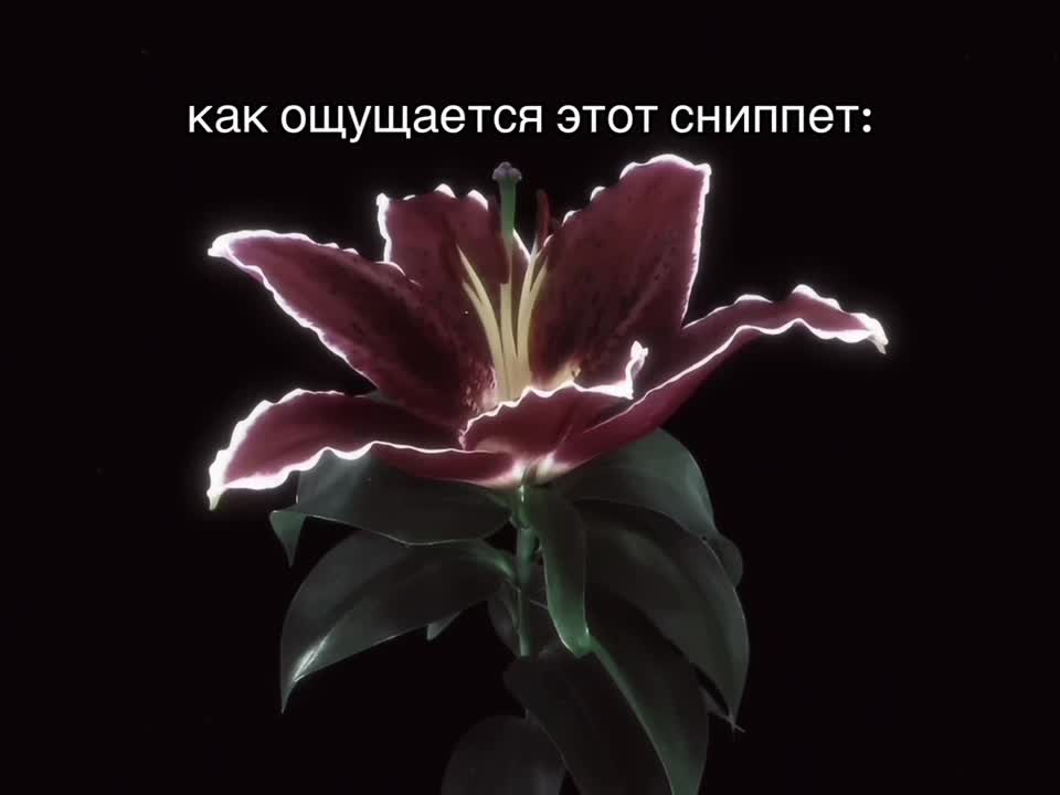 @Тгк: мини пиг