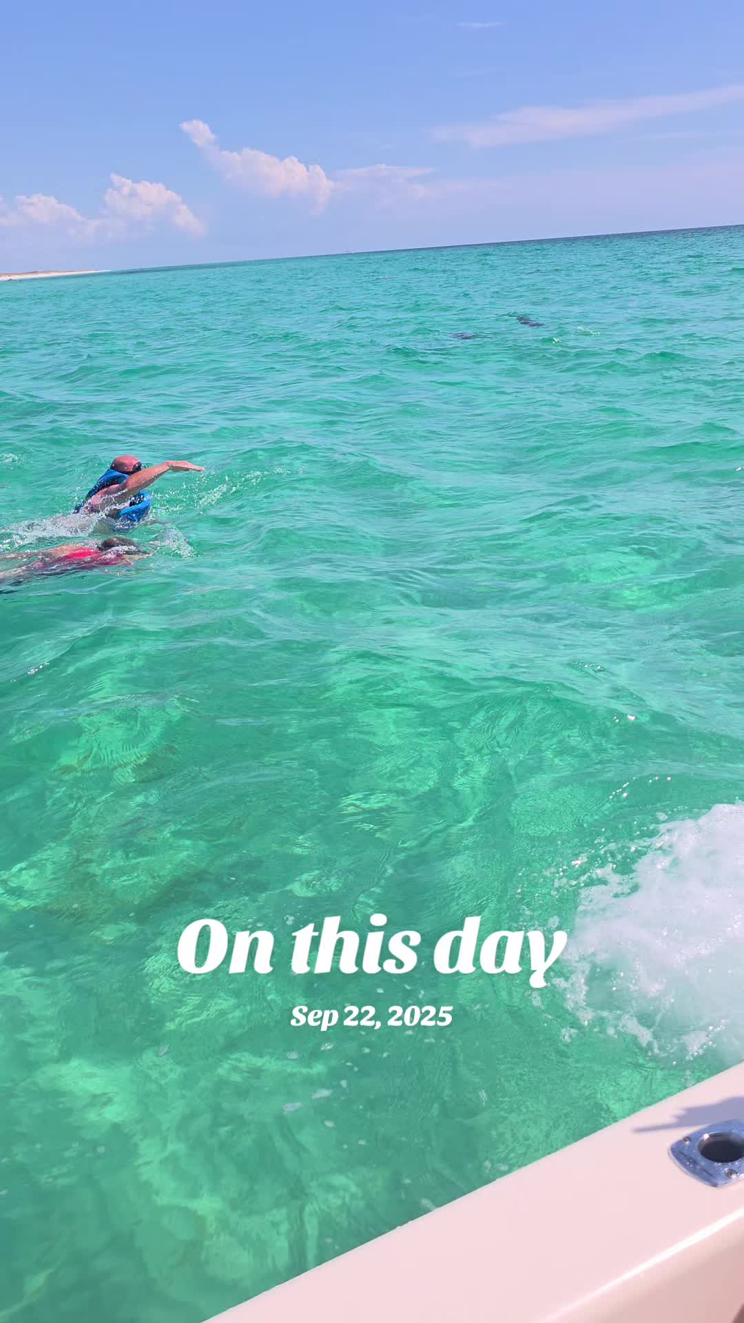 @Shell Island Dolphin Tours LLC