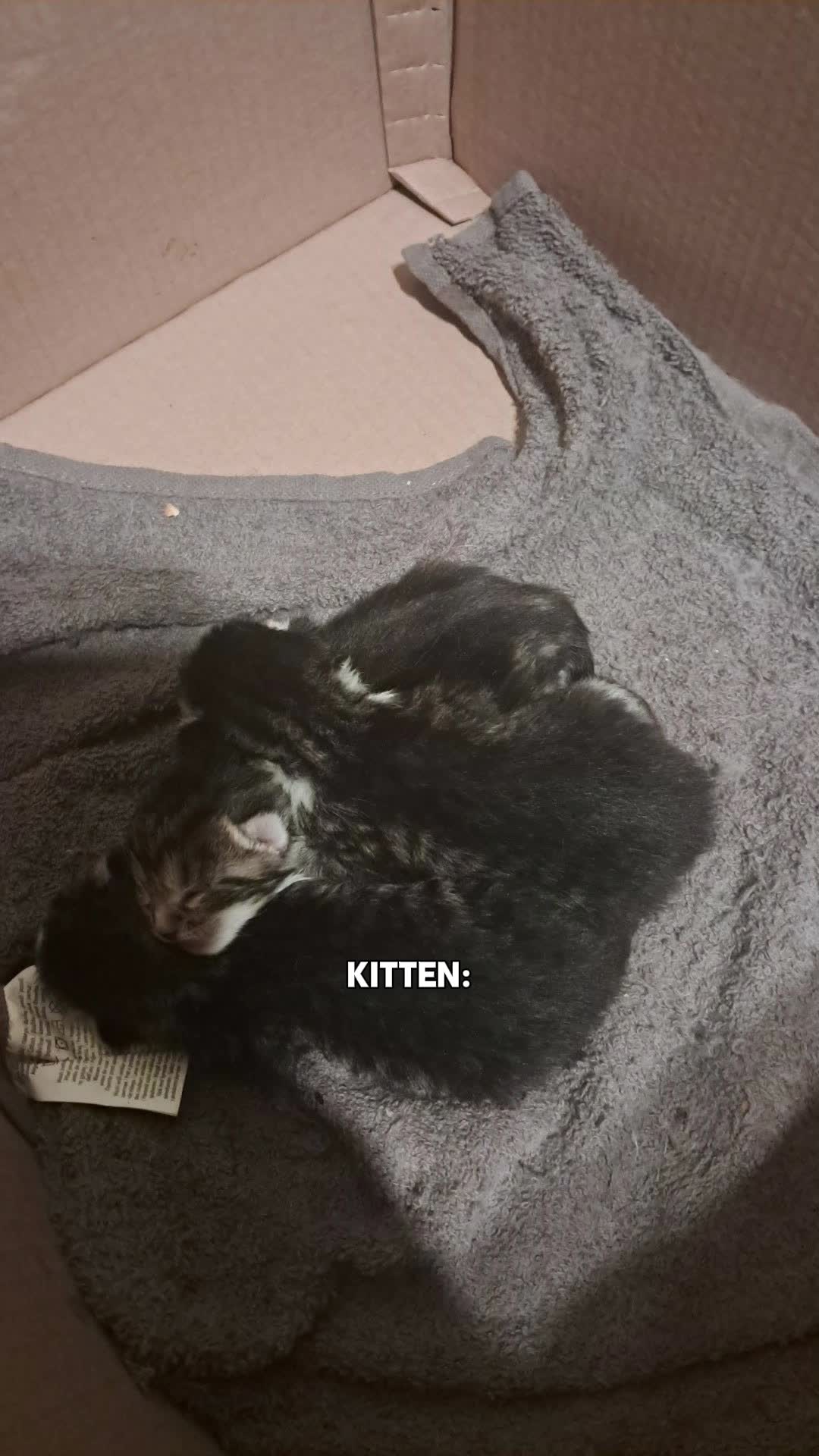 @Kianatje❤️❤️