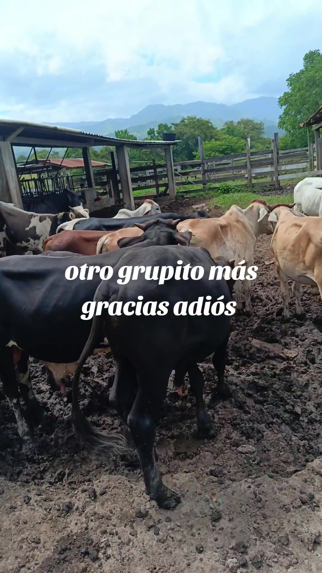 @maykel Mej&iacute;a