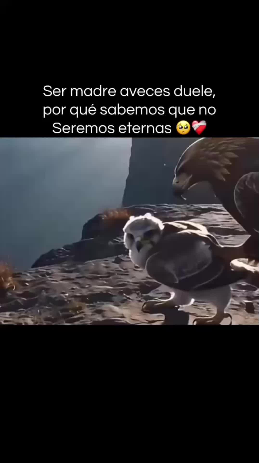 @yamicarol74