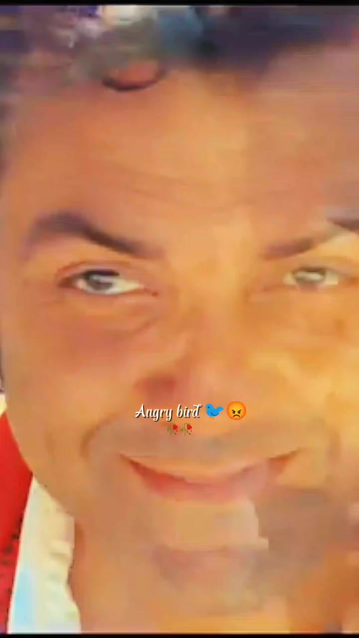 @💫𝖆𝖓𝖌𝖗𝖞 𝖇𝖎𝖗𝖉𝖘💫💥