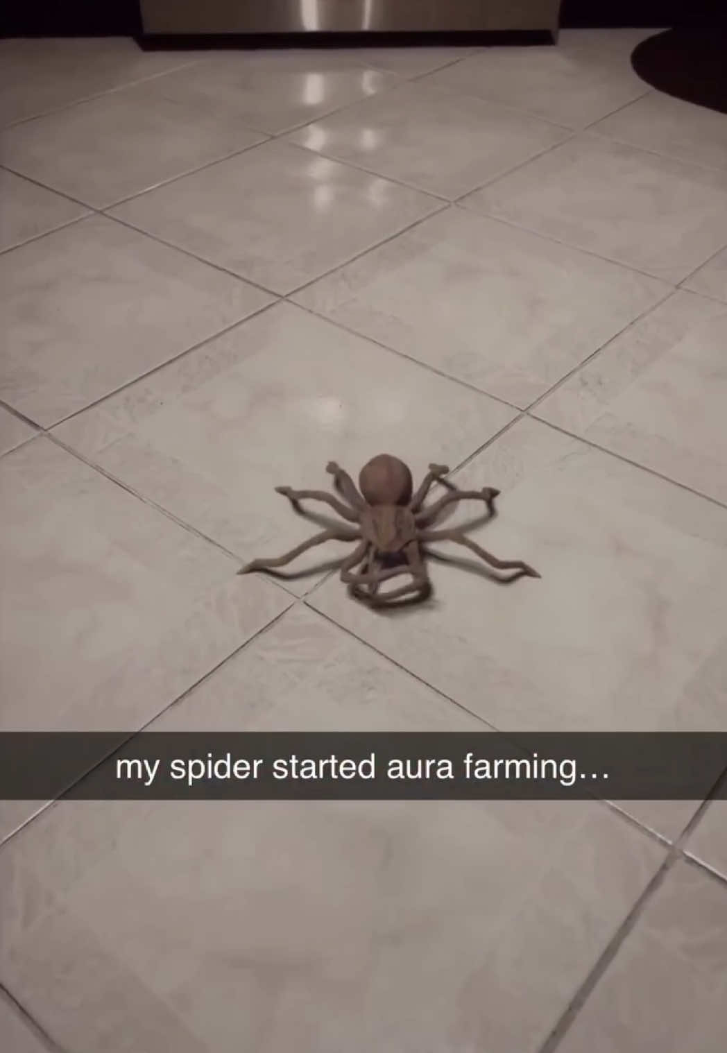 @WeirdlyFactual&trade;
