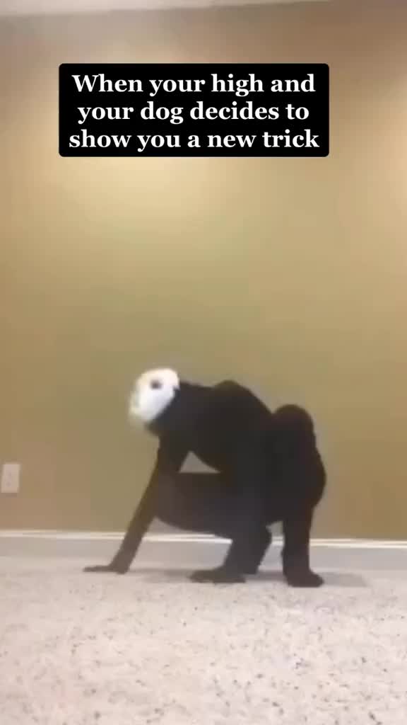 @Billy