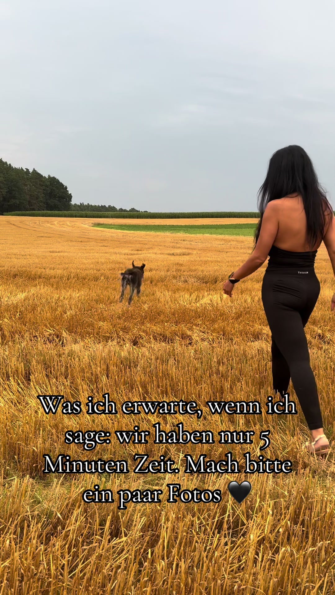 @RideahorseoraHarley