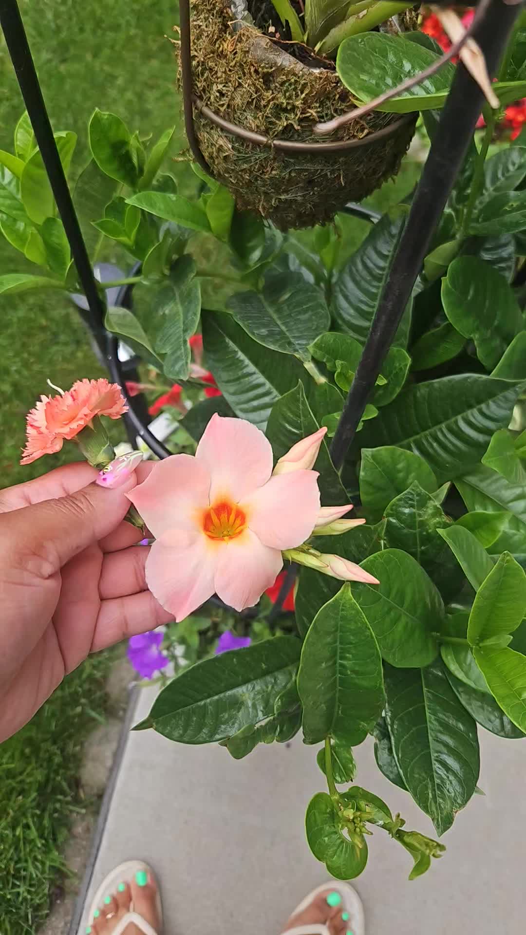 @ꪜꪖꪶꫀ𝘳𝓲ꫀ 🎀