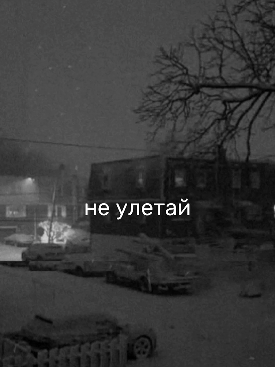 @я твоё зеркало
