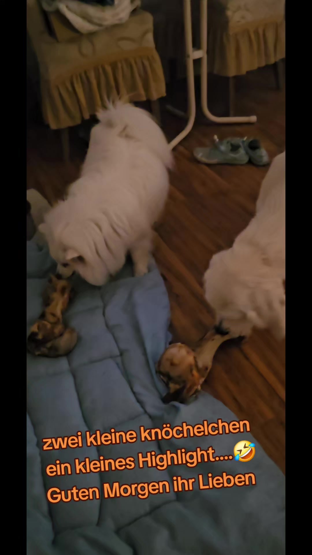 @Jennifer💕Keyla💕Angel