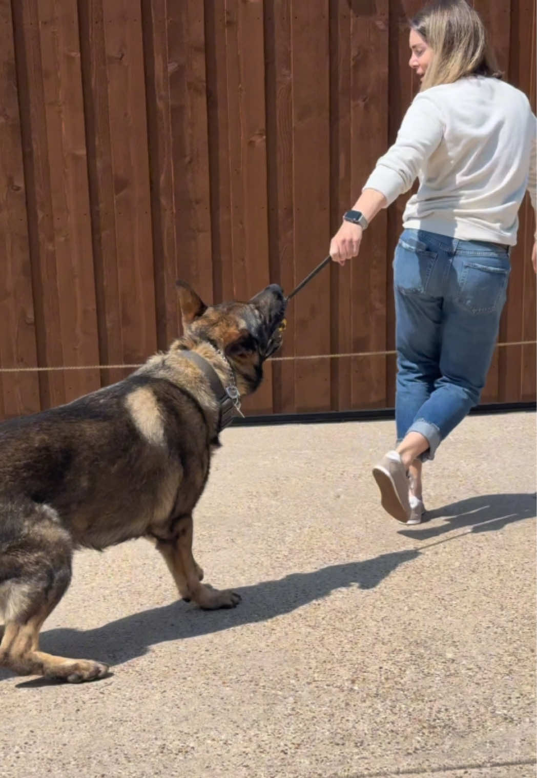 @True Guard K9 I Tara