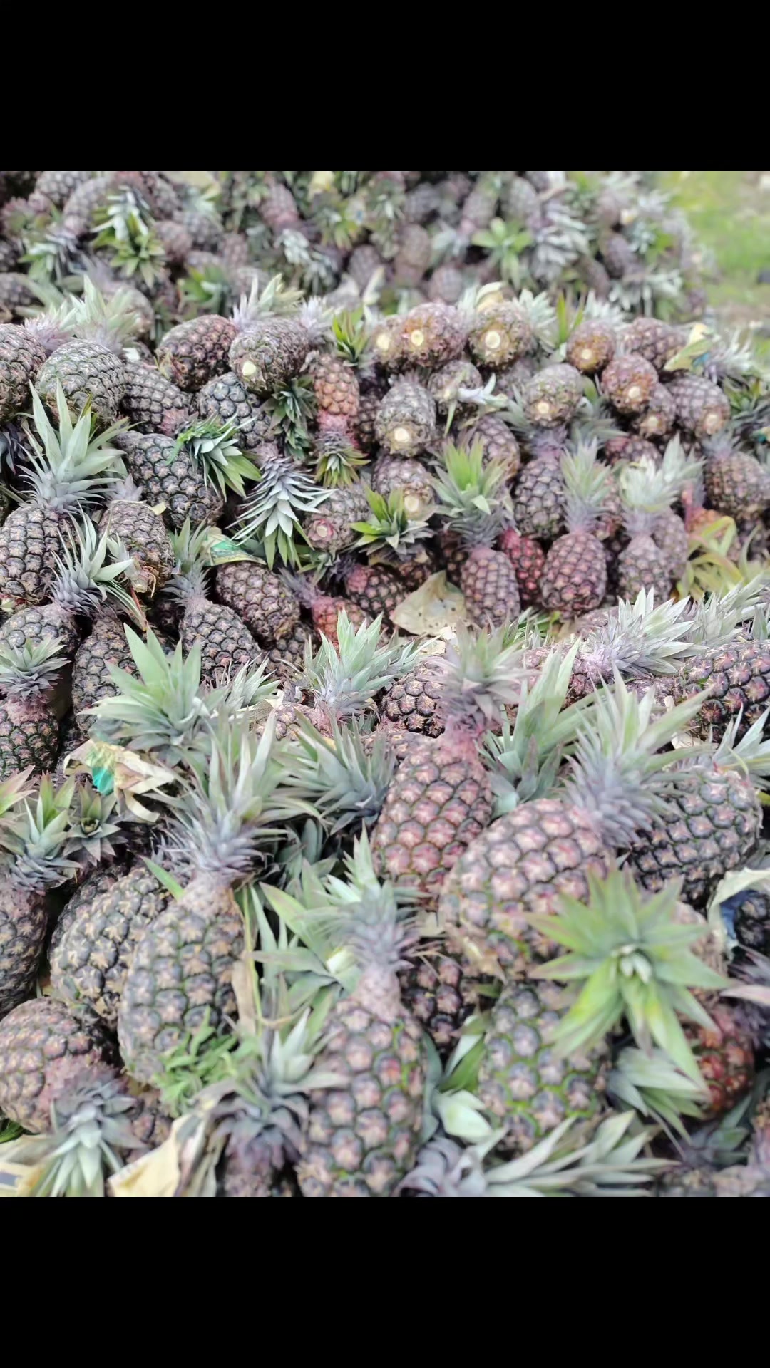 @Ali..H.V.💐☺️☺️🍍🍍🍍🍍