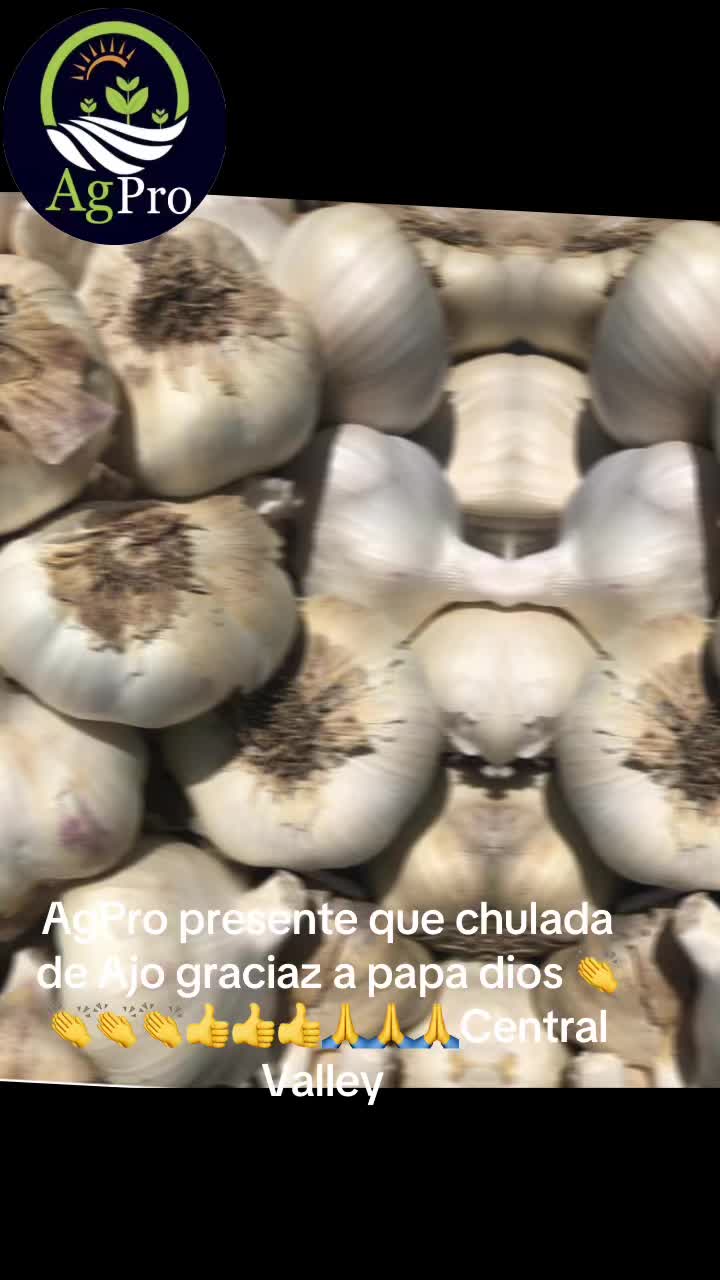 @Piedad Ayala