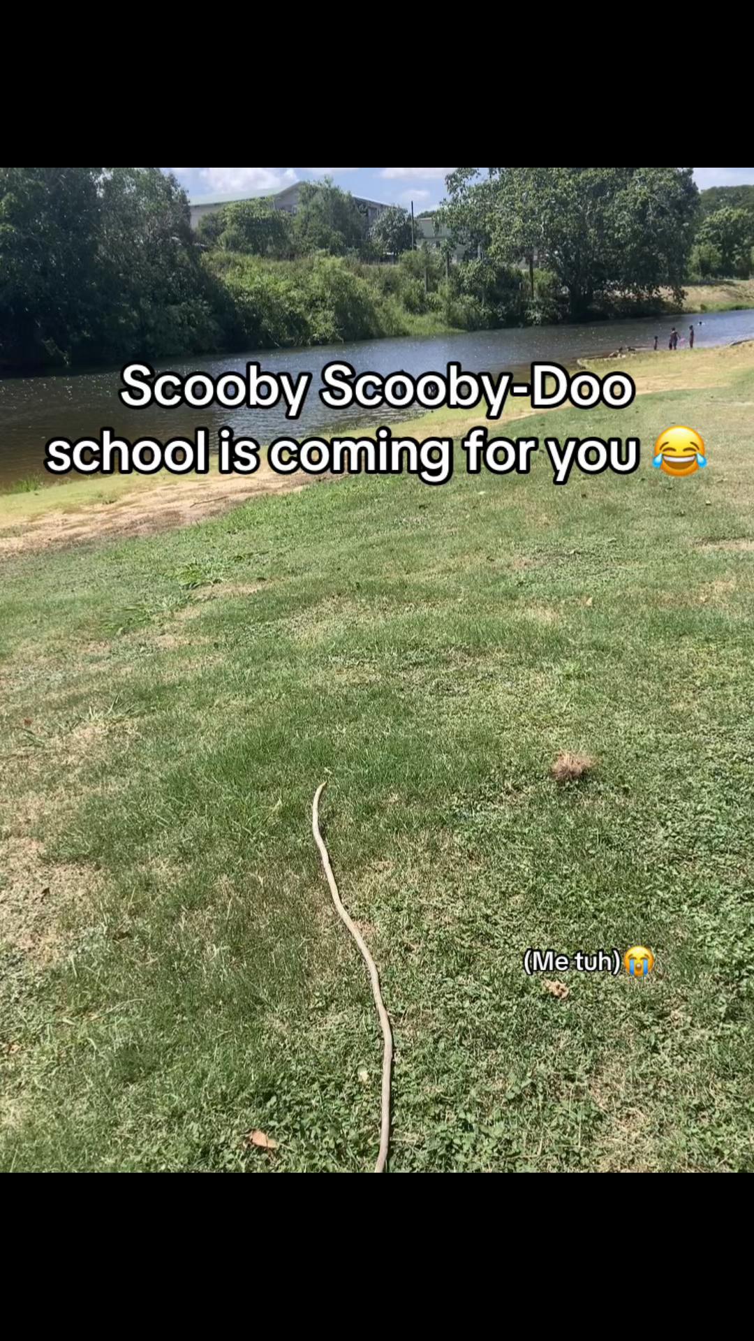 @L3xnn🕷