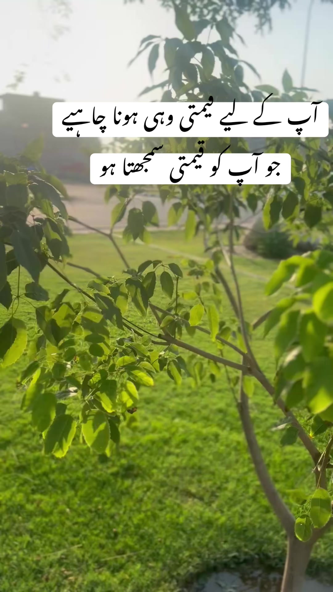 @Saira Nauman