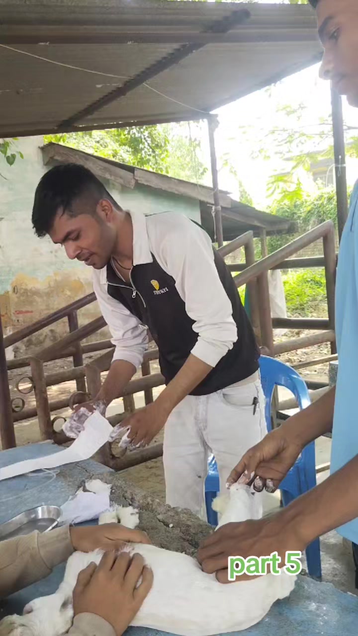 @Prajapati Agro Vet