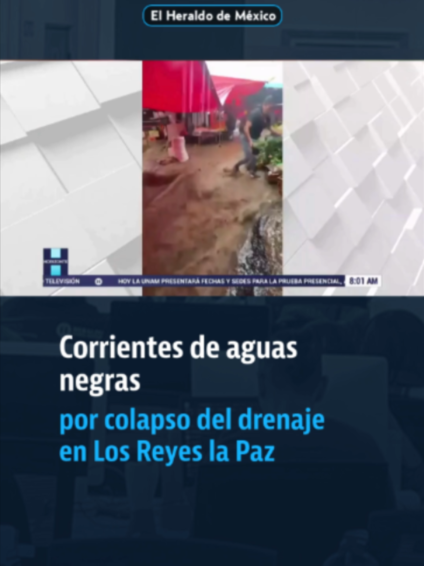 @elheraldodemexico