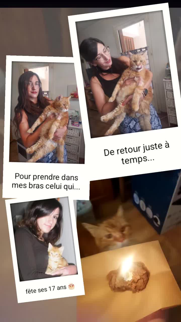 @Soso P&eacute;pita