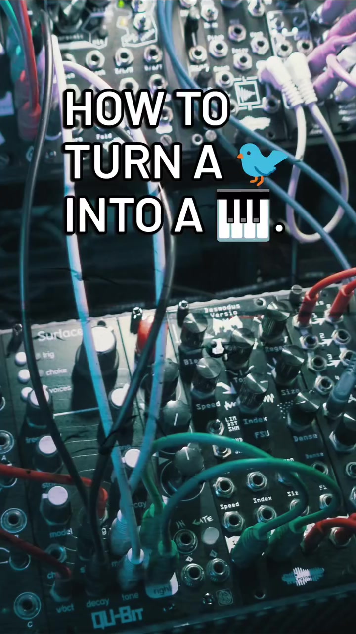 @Lawrence | Ableton Trainer