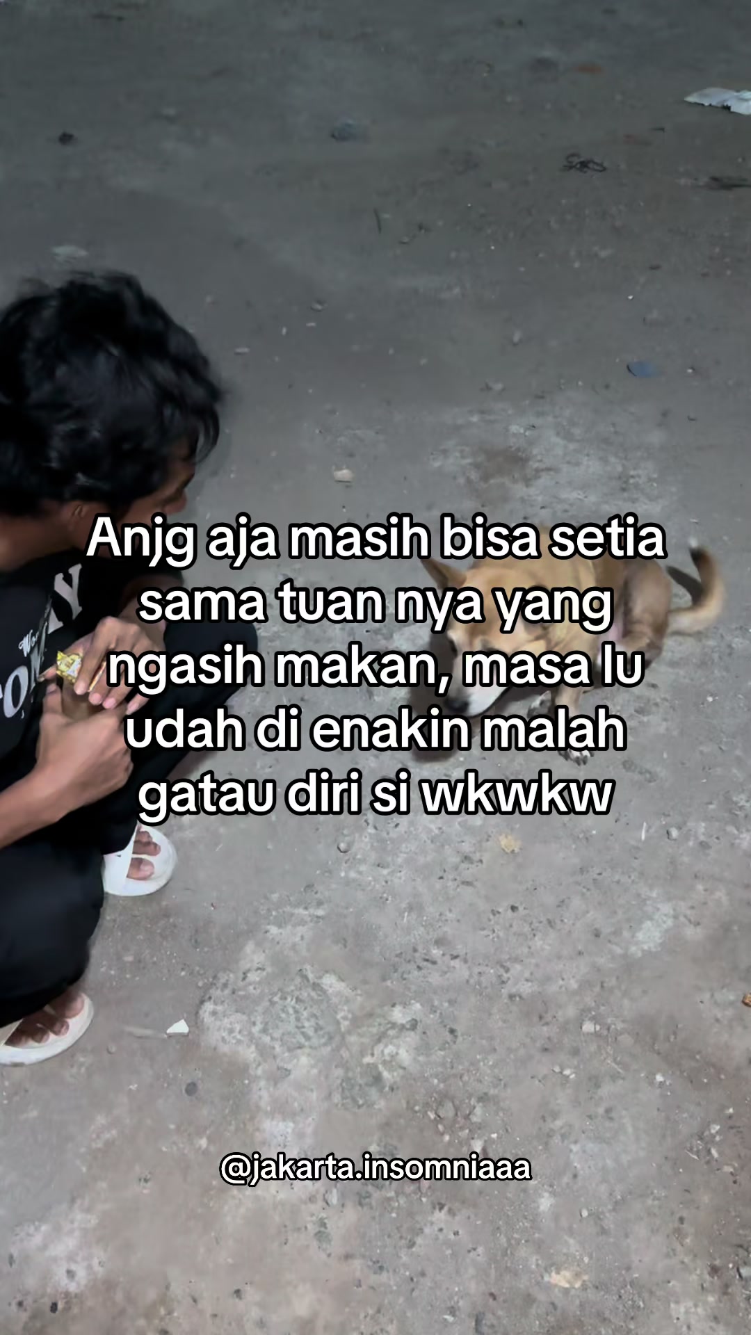 @jakarta.insomniaa