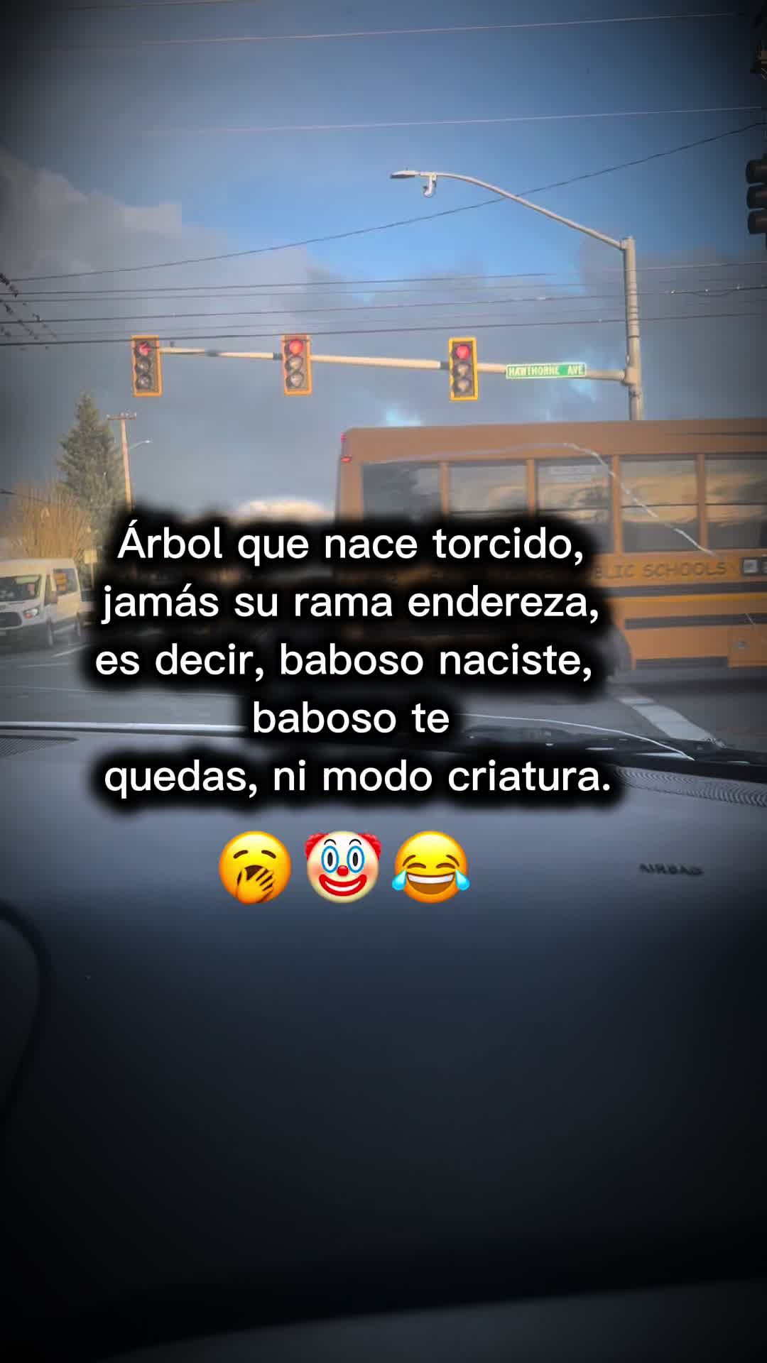 @lolischula